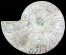 Silver Iridescent Ammonite - Madagascar #61506-1